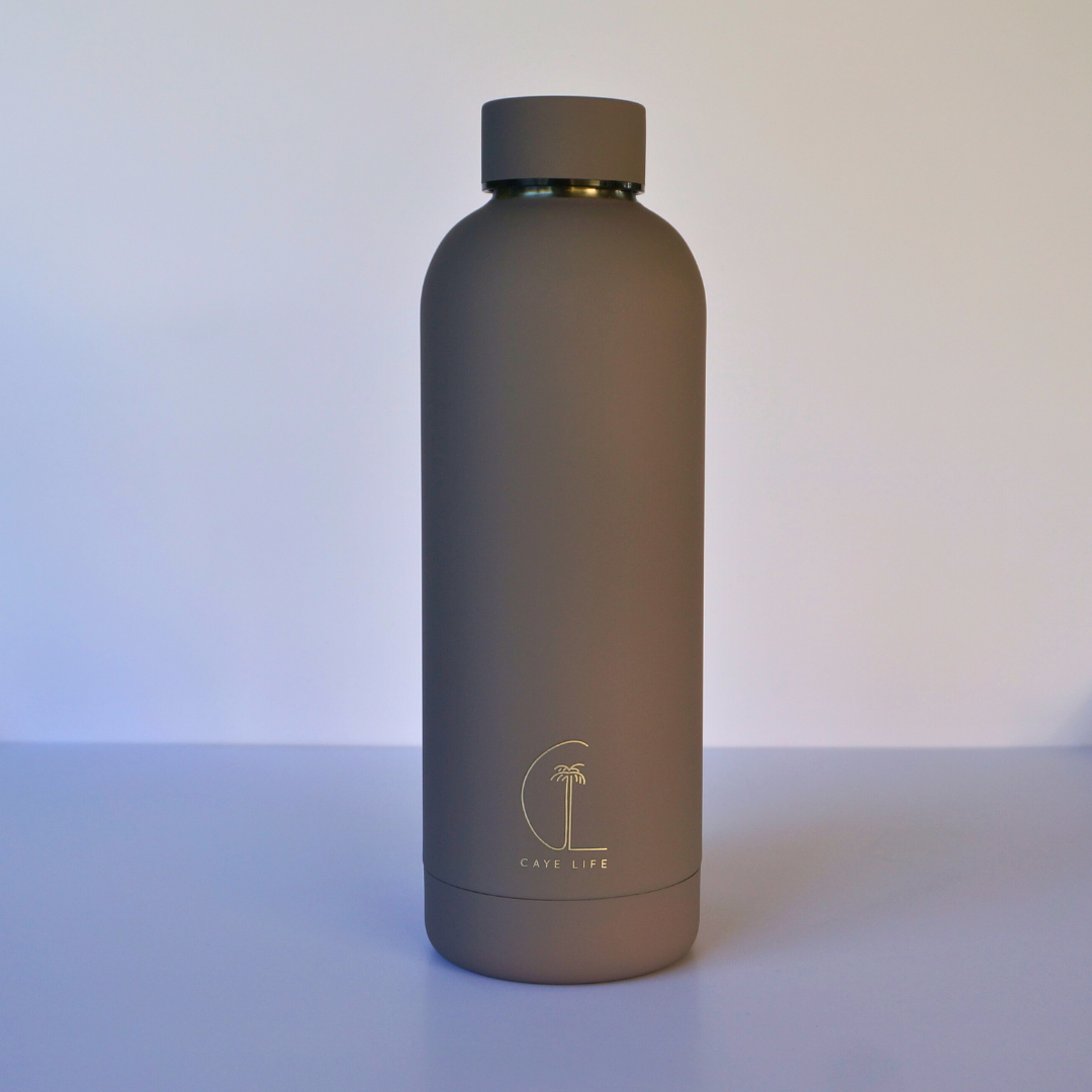 Oahu Insulated Drink Bottle | Matte Mauve