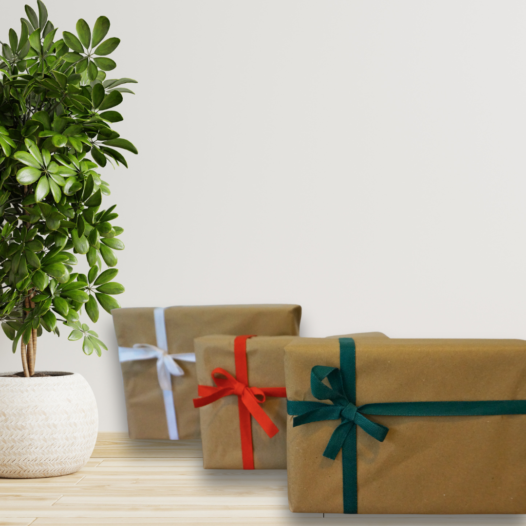 Novella Eco Gift Wrapping