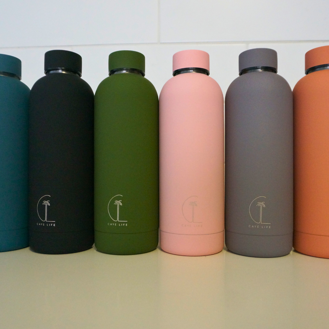 Panarea Insulated Drink Bottle | Terracotta