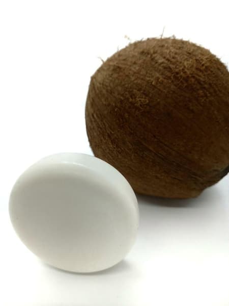 Coconut Conditioner Bar