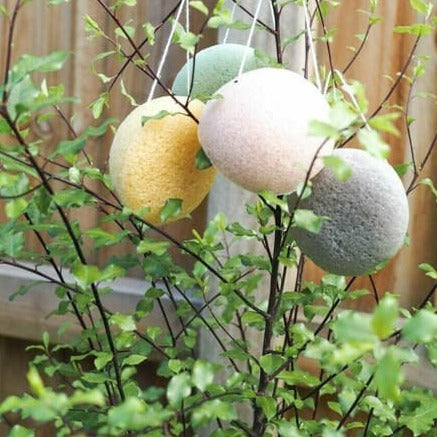 Konjac Sponge