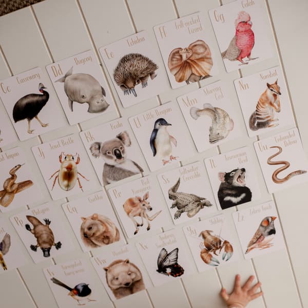 Australian Animal Alphabet Flash Card